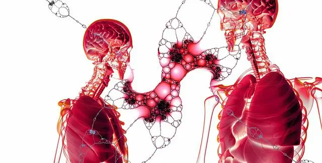 Anatomická ilustrace dvou postav s vyznačenými vnitřními orgány.