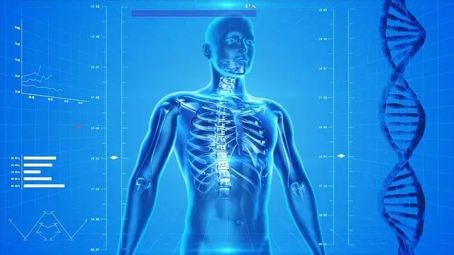 Modrá anatomická ilustrace lidského těla a DNA.