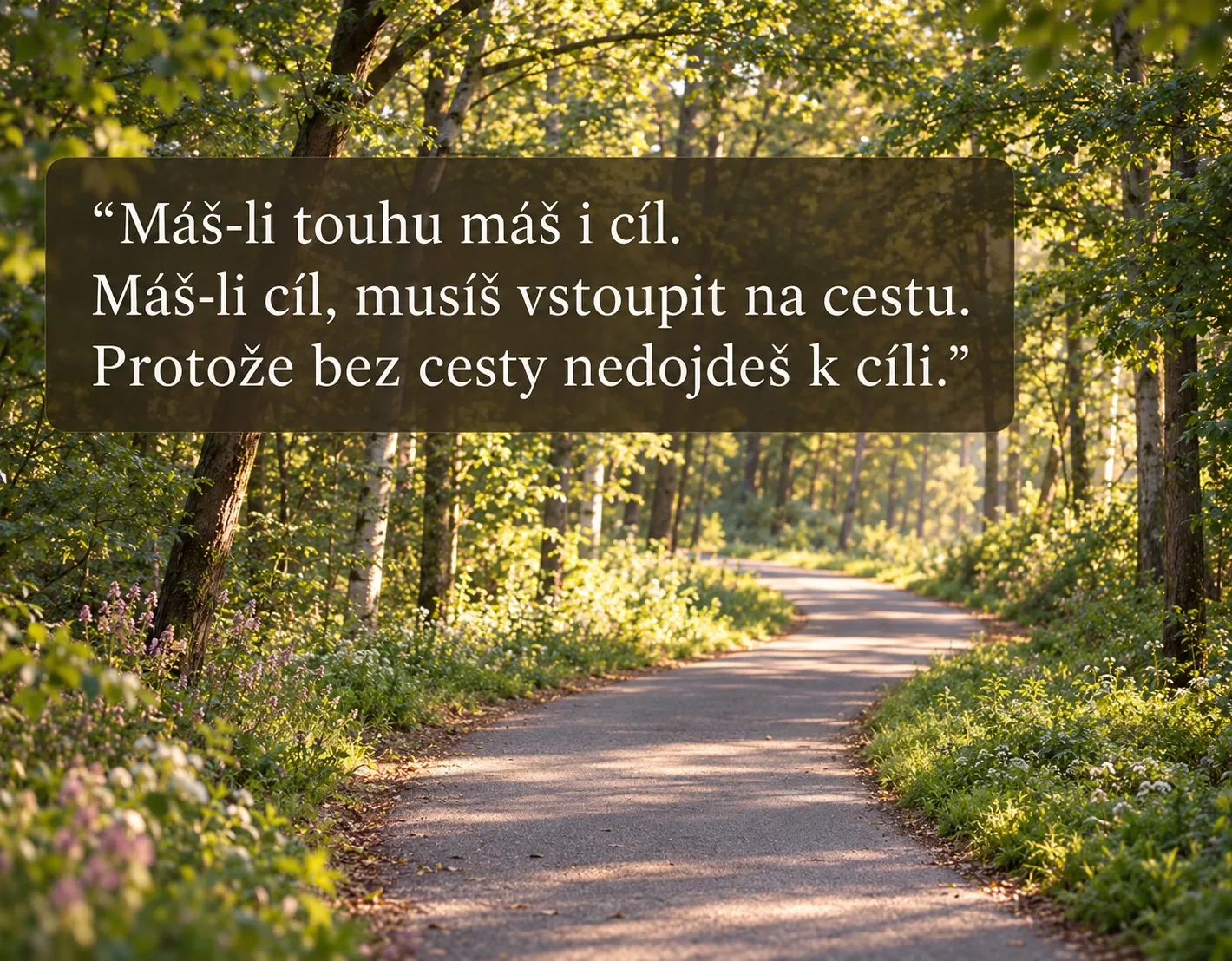 Citát na lesní cestě: „Máš-li touhu máš i cíl. Máš-li cíl, musíš vstoupit na cestu. Protože bez cesty nedojdeš k cíli.“